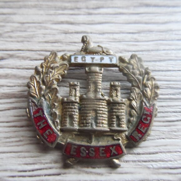 British 'The Essex Regiment' Egypt Badge (b6.7 - 32mm X 302mm) - Picture 1 of 2